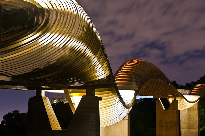 Пешеходный мост "Волны Хендерсона" Henderson waves bridge